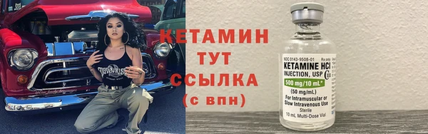 индика Белокуриха