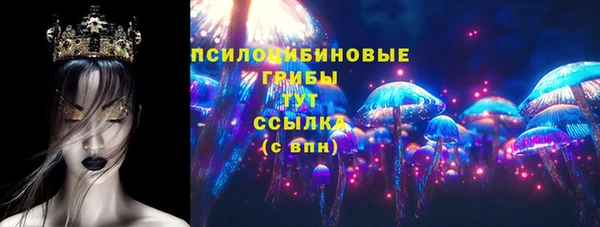 2c-b Снежинск
