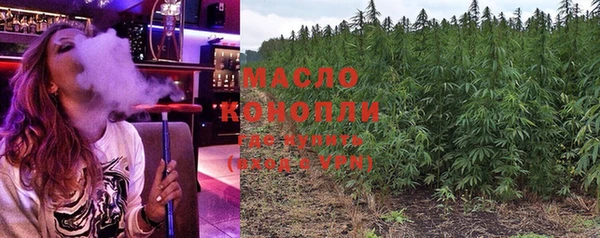 индика Белокуриха