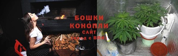 индика Белокуриха