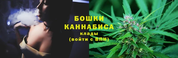 индика Белокуриха