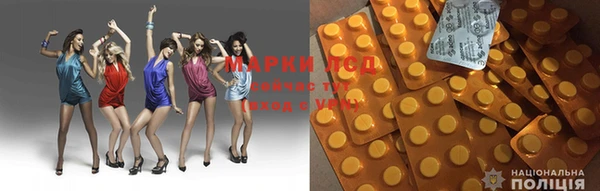 индика Белокуриха