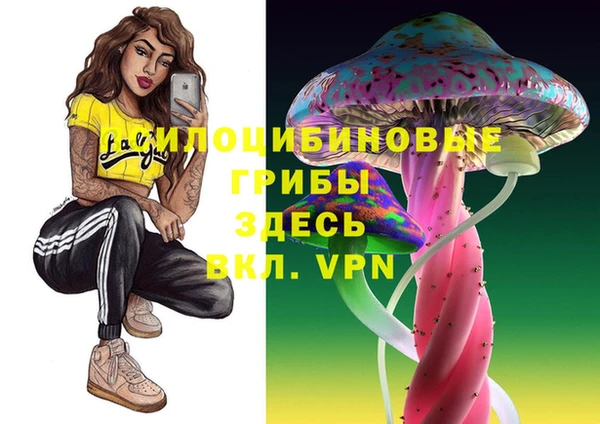 индика Белокуриха