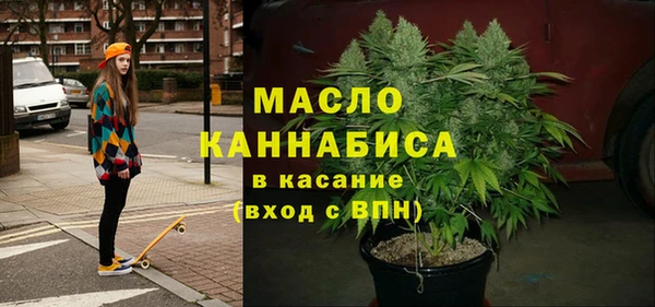 индика Белокуриха