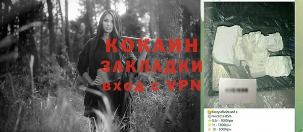 индика Белокуриха