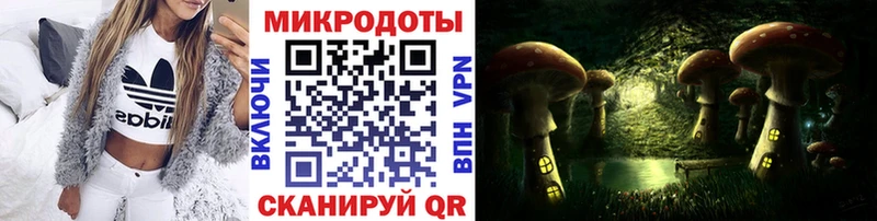 Галлюциногенные грибы Psilocybine cubensis  купить наркотики сайты  Кстово 
