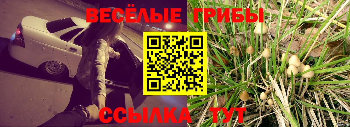 Кстово  купить закладку  Галлюциногенные грибы Magic Shrooms  Вход с VPN  Псилоцибиновые грибы ЛСД 